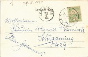 1902 Facset, Facsád, Faget; Újtelep, Klein Dávid áruháza, Winkler testvérek üzlete / new colony, sho...