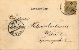 1902 Arad, Szabadság szobor, Löwy Herman és Weil Alajos üzlete. Szecessziós litho keret / Martyr...