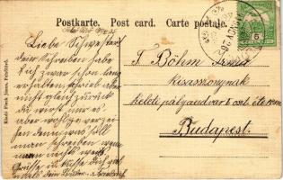 1910 Felsőlövő, Oberschützen; Evangélikus internátus, iskola. Fleck János kiadása / Boarding school ...