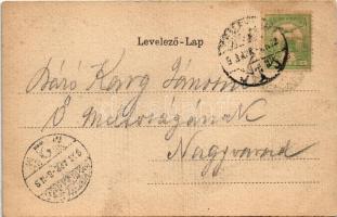 1903 Temesvár, Timisoara; Dómtér. Szecessziós litho keret címerrel / cathedral square. Art Nouveau l...