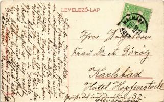 1913 Nagyhalmágy, Halmagiu; Fő utca. Scheer Ede kiadása / main street (EB)