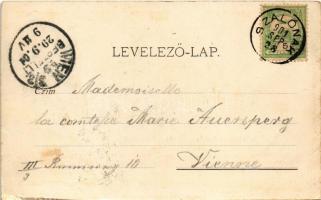 1901 Városszalónak, Stadtschlaining; Baumkircher András a szalonaki vár építőjének kőemléke, bejárat...