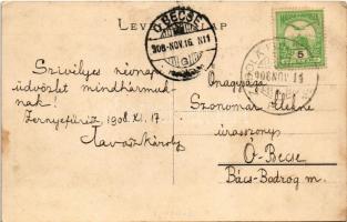 1908 Gelence, Ghelinta; Fűrésztelep keskeny nyomtávú ipari vasúttal, gőzmozdony. János Lajos kiadása...