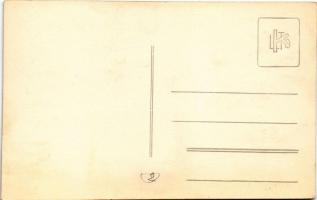 Esztergom, látkép a Bazilikából felvéve, hajóállomás, híd. photo