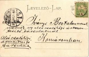 1902 Gyulafehérvár, Karlsburg, Alba Iulia; Gőzmalom és villanytelep. Weisz Bernát kiadása / mill and...