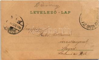 1904 Bihardiószeg, Diosig; Berger Ignácz és fia fa és sóraktár, üzlet, református és izraelita templ...