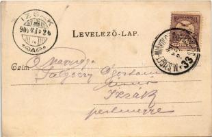 1901 Beregszász, Beregovo, Berehove; Auer Károly pince és borháza és saját kiadása / wine cellar and...