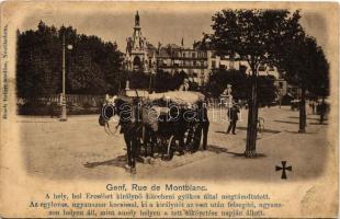 1898 (Vorläufer) Genf, Geneva; Rue de Montblanc. A hely, hol Erzsébet királynő (Sissi) Luccheni gyilkos által megtámadtatott. Az egylovas ugyanazon kocsissal, ki a királynőt az eset után felsegíté, ugyanazon helyen áll, mint amely helyen a tett elkövetése napján állott. Hosch Rainer kiadása / Place of the assassination of Empress Elisabeth of Austria (Sisi) by Lucheni, the horse cart is standing in the same place when the murder happened (fl)