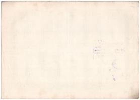 Budapest 1920. "Magyar Asphalt Részvénytársaság" részvénye 200K-ról, magyar és német nyelv...