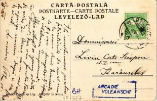 1913 Belényes, Beius; Resedinta de vara a Episcopului Dr. Radu / Radu püspök nyári rezidenciája, vil...