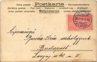 1904 Art Nouveau butterfly lady with poppy. litho