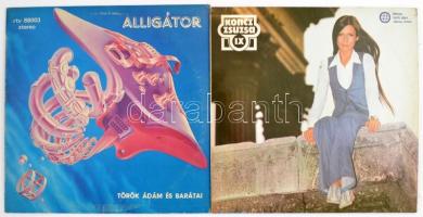 23 db magyar könnyűzenei bakelit LP: Első Emelet (2 db, Illés (2 db), Koncz Zsuzsa (3 db), LGT: Mind...