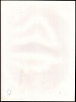 Kádár(1984-2016): Erotika, 4 db fotó, hátoldalon feliratozva, 39×29 cm