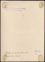 cca 1930 Csepel, kikötői rakodó daruk, hátoldalon feliratozott fotó, 17×12 cm