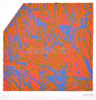 Németh János (1936-): Színes formák. Szitanyomat, papír, jelzett, E.A. művészpéldány, 20x21 cm