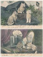 8 db RÉGI motívum képeslap: macska / 8 pre-1945 motive postcards: cat some litho