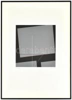 Konok Tamás (1930-): A tér ritmusa. Monotípia, papír, jelzett és datált (Konok 1991). Üvegezett kere...