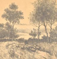 Bakonyi Gy. jelzéssel: Birkanyáj. Rézkarc, papír, lap széle kissé foltos. Üvegezett fa keretben. 17,...