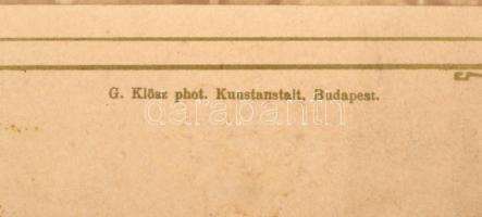 1894 Budapest, Kossuth Lajos temetése, kartonra kasírozott, feliratozott fotó Klösz György műtermébő...