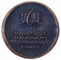 Madarassy Walter (1909-1994) ~1985. "Budapesti Állatorvostudományi Egyetem" öntött Br emlé...