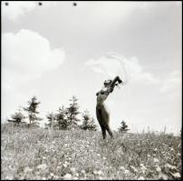 cca 1982 Ő szintén..., Menesdorfer Lajos (1941-2005) budapesti fotóművész hagyatékából, 5 db vintage...