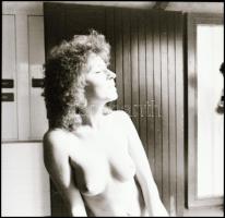 Hajasbabák felnőtteknek, különféle időpontokban készült felvételek, Menesdorfer Lajos (1941-2005) bu...