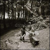 cca 1988 A korsó, a forrás és az ,,Erdő Szépe" legendája, Menesdorfer Lajos (1941-2005) budapes...