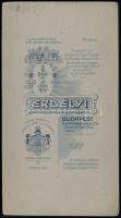 cca 1895 Budapest, Erdélyi Mór (1866-1934) császári és királyi udvari fényképész műtermében készült,...