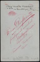 1905 Temesvár, Róna és Dajkovits fényképészek műtermében készült, keményhátú vintage fotó, 16,8x10,6...