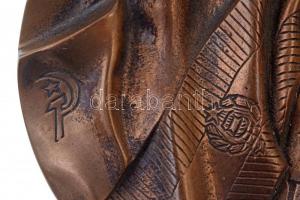 Asszonyi Tamás (1942-) 1979. "Szovjet-magyar közös űrrepülés" Br plakett peremen "AT&...