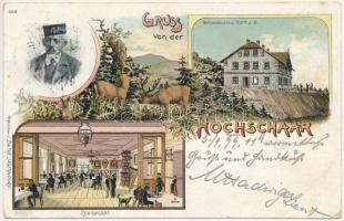 1899 (Vorläufer) Serák, Hochschar, Hochschaar; Georgsschutzhaus, Speisesaal. J. Bätke Jägendorf / mountain hotel, interior, dining hall. Art Nouveau, floral, litho