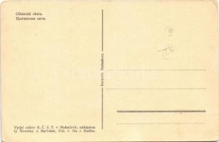 Kárpátaljai cigányok a kunyhó előtt / Cikánská chata / Transcarpathian gypsy folklore (EK)