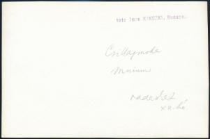 cca 1935 Kinszki Imre (1901-1945) budapesti fotóművész hagyatékából, pecséttel jelzett és a szerző á...