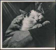 cca 1934 Kinszki Imre (1901-1945) budapesti fotóművész hagyatékából, pecséttel jelzett vintage fotó (Biztonságban), 13x14,5 cm