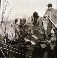 cca 1965 Kotnyek Antal (1921-1990) budapesti fotóriporter hagyatékából 12 db vintage NEGATÍV, különf...