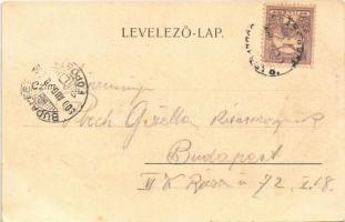 1900 Budapest XXII. Budafok, Sacelláry kastély. Ifj. Simon József 1866