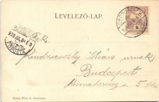 1900 Orosháza, Római katolikus templom, Alföld szálló. Pless N. kiadása