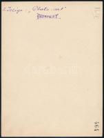 cca 1925 Budai látkép, Kerny István (1879-1963) budapesti fotóművész hagyatékából jelzés nélküli, vi...