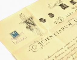 1919 Budapesti Tudományegyetem jogi diplomája Fuhrerr Gyula nevére kiállítva, latin nyelven, Ballagi...