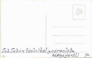 Budapest I. Tabán, látkép a várpalota bástyájáról. photo