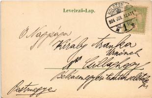 1904 Kolozsvár, Cluj; Városháza és Deák utca, Tamási Tamás és Fia, Stief Jenő és Társa üzlete, kávéh...