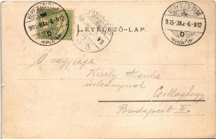 1905 Herkulesfürdő, Herkulesbad, Baile Herculane; Franz Josefs-Hof / Ferenc József udvar, híd. Mülle...