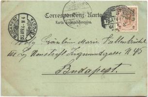 1899 (Vorläufer) Przemysl, Total-Ansicht