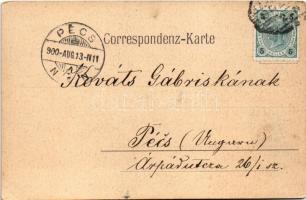 1900 Graz, Rathaus / town hall, street view, market vendors. Postkarten-Verlag Anton Petschnigg (EK)