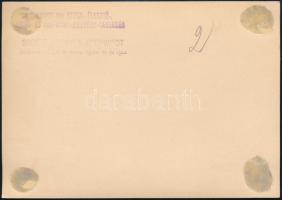 cca 1930 A budafoki Gschwindt Szesz-Élesztőgyár és Finomító gyára, fotó, a hátoldalon pecséttel jelz...