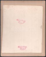 cca 1890 Katonatisztek csoportképe  díszegyenruhában, felvétel Cichulski és Csonka marosvásárhelyi m...