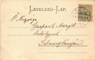 1903 Baja, Sugovica parti részlet, fahíd, halász csónakok. Ifj. Wagner Antal kiadása  (EN)