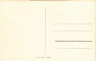 Beckó, Beckov; Vár / Hrad / castle. Foto-Fon 2436