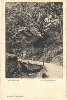 1909 Kovácspatak, Kovacov; Út az Ámor forráshoz, fahíd. Wallfisch S. / road to the spring, wooden bridge (EK)