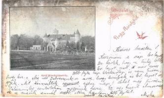 1899 (Vorläufer) Nagykároly, Carei; Gróf Károlyi kastély. Novák és Verő kiadása / castle (Rb)